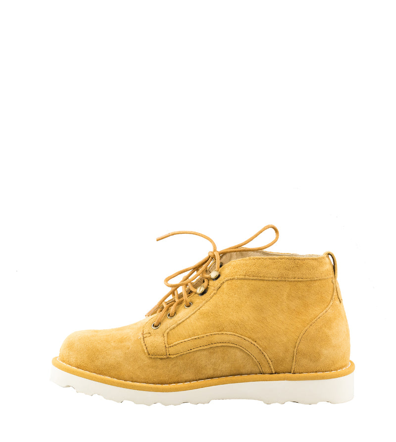 Lucia