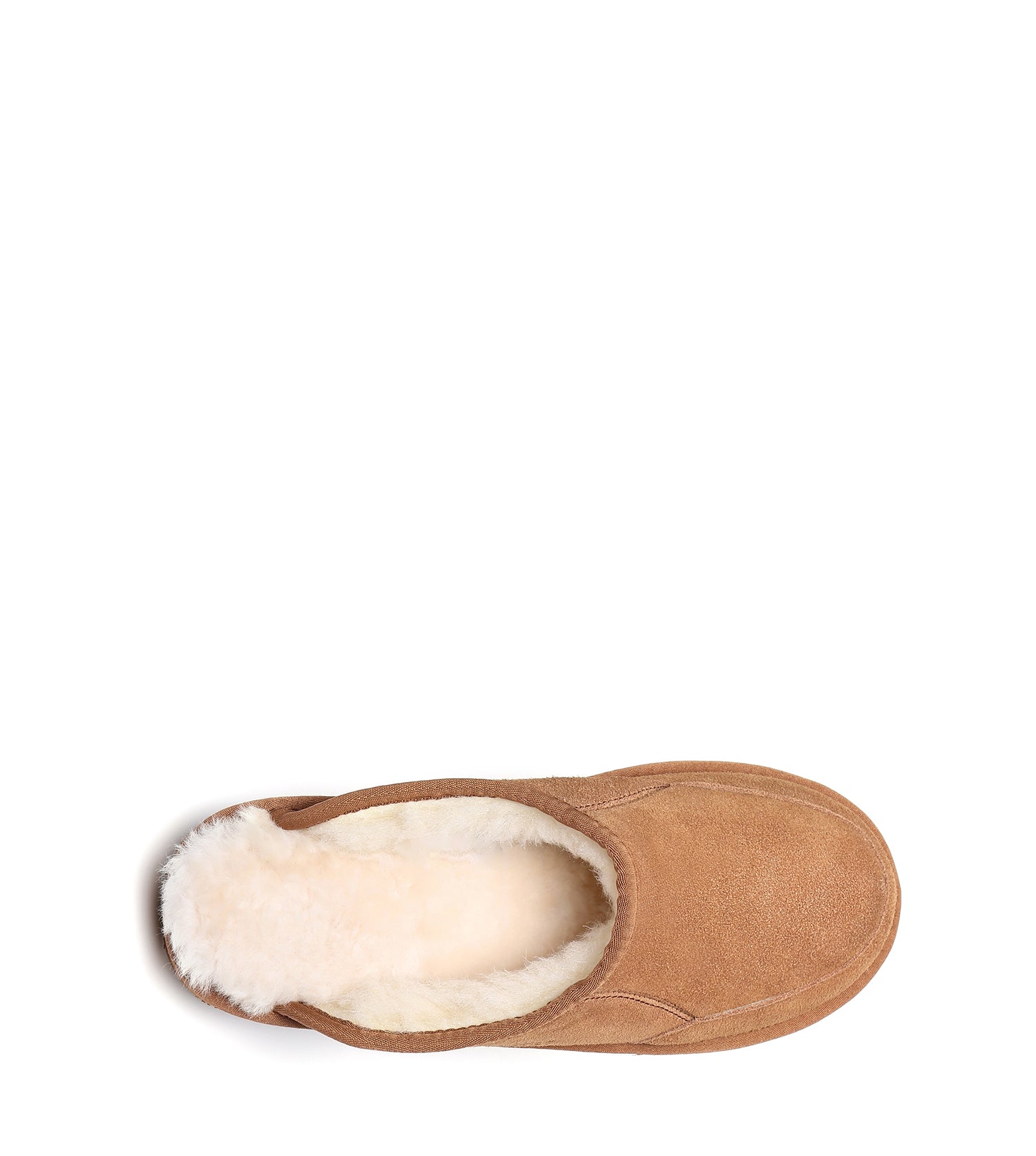 AS*Bred Slipper