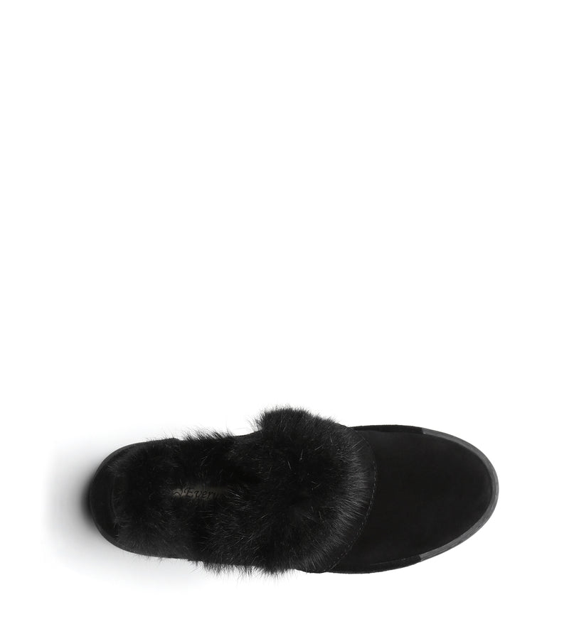 Everugg*Hedda