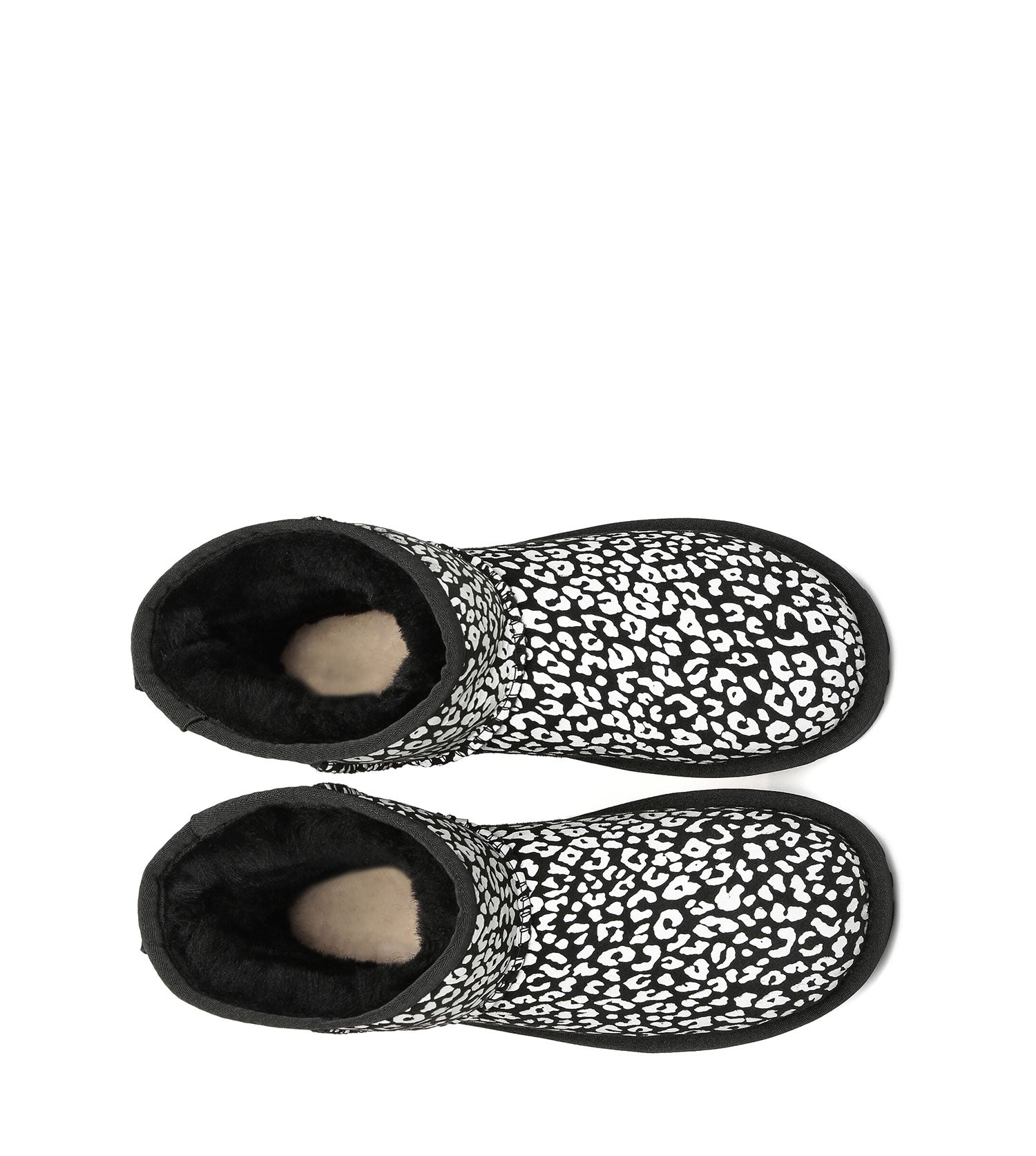 Everugg*Mini Classic