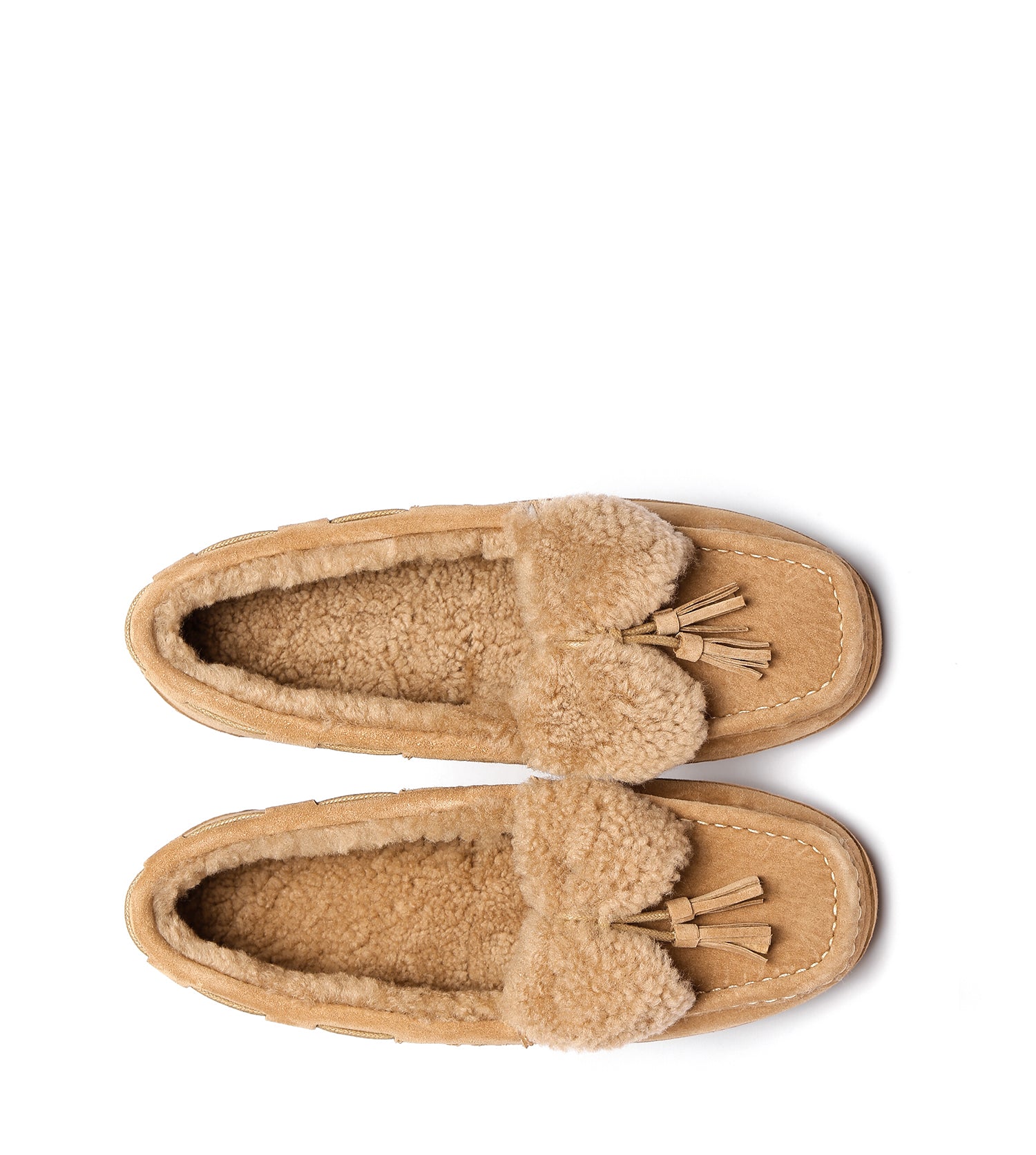 Everugg*Nicola