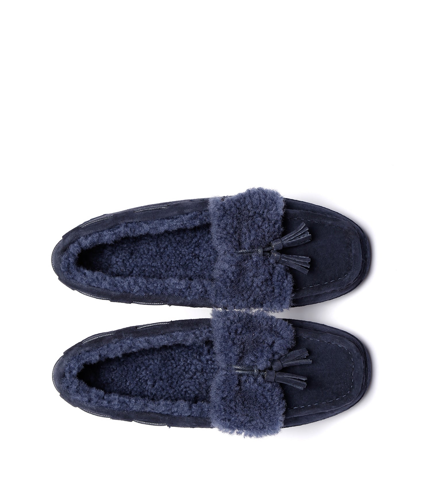 Everugg*Nicola