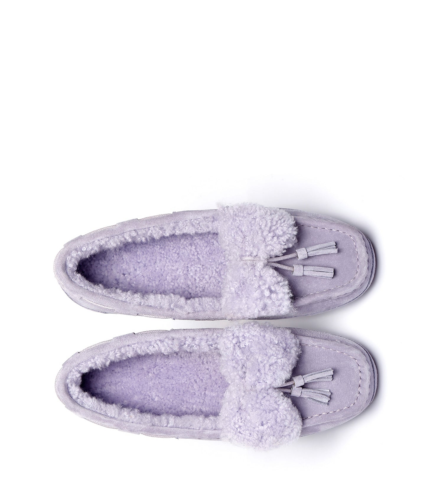 Everugg*Nicola