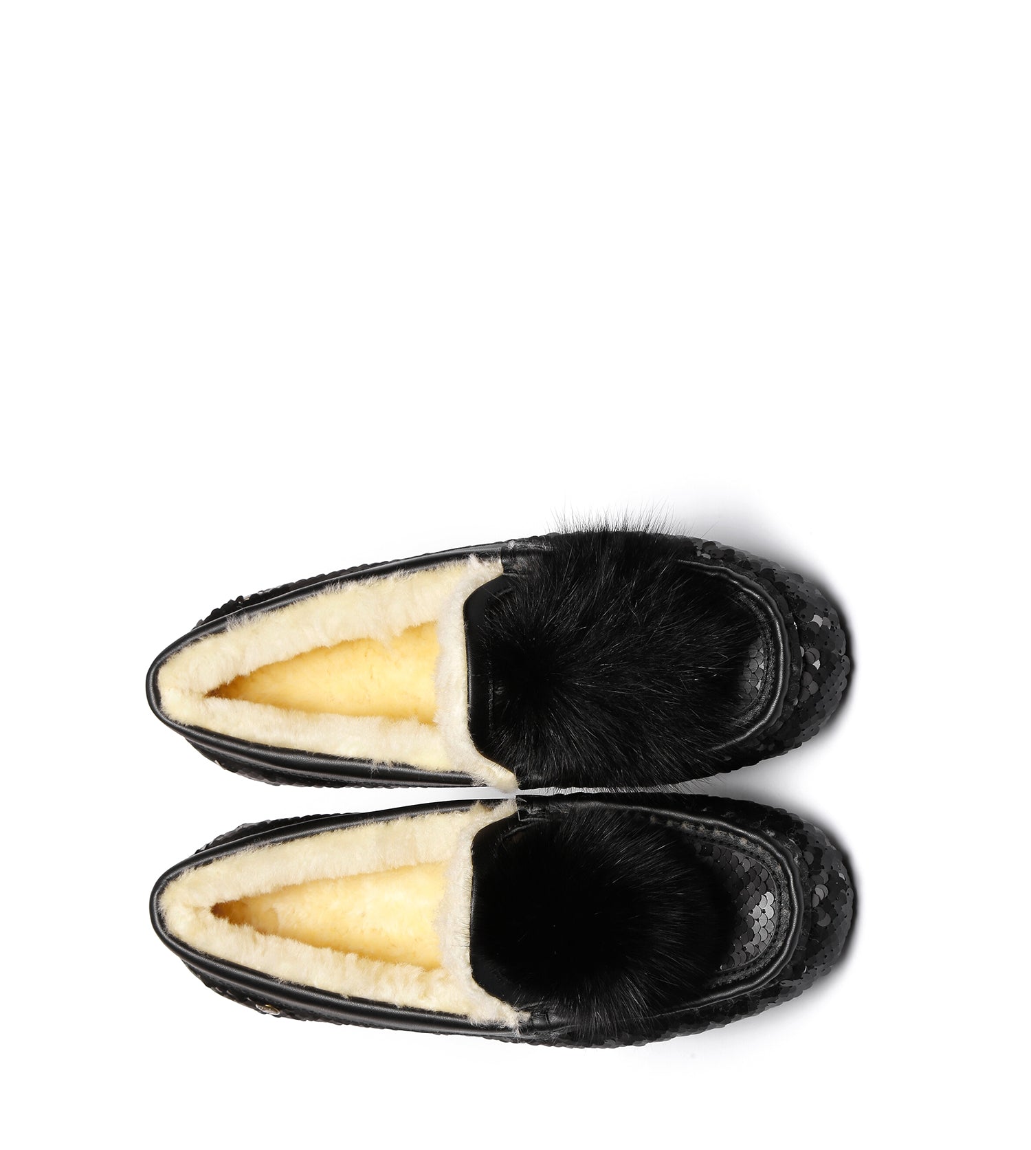 Everugg*Coral