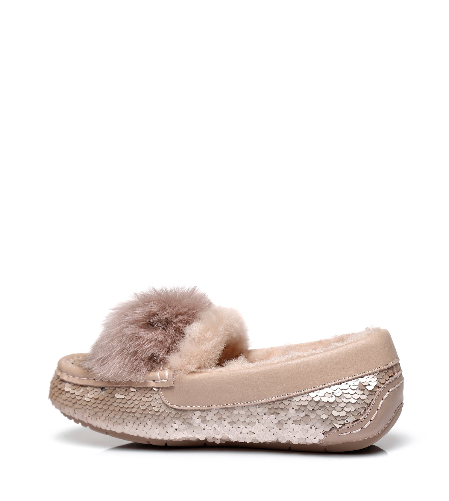 Everugg*Coral