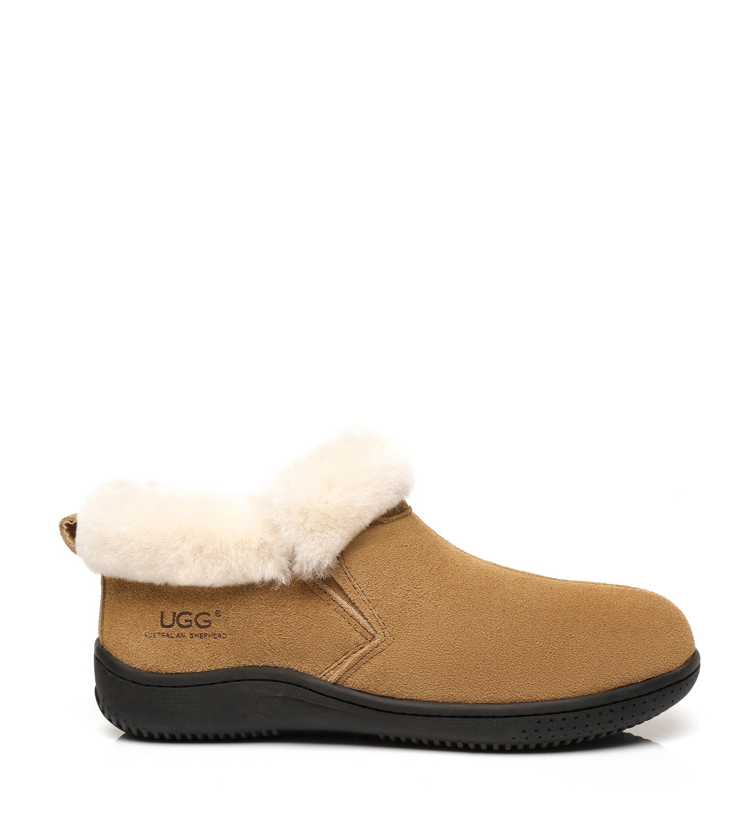 AS*Daley Slipper