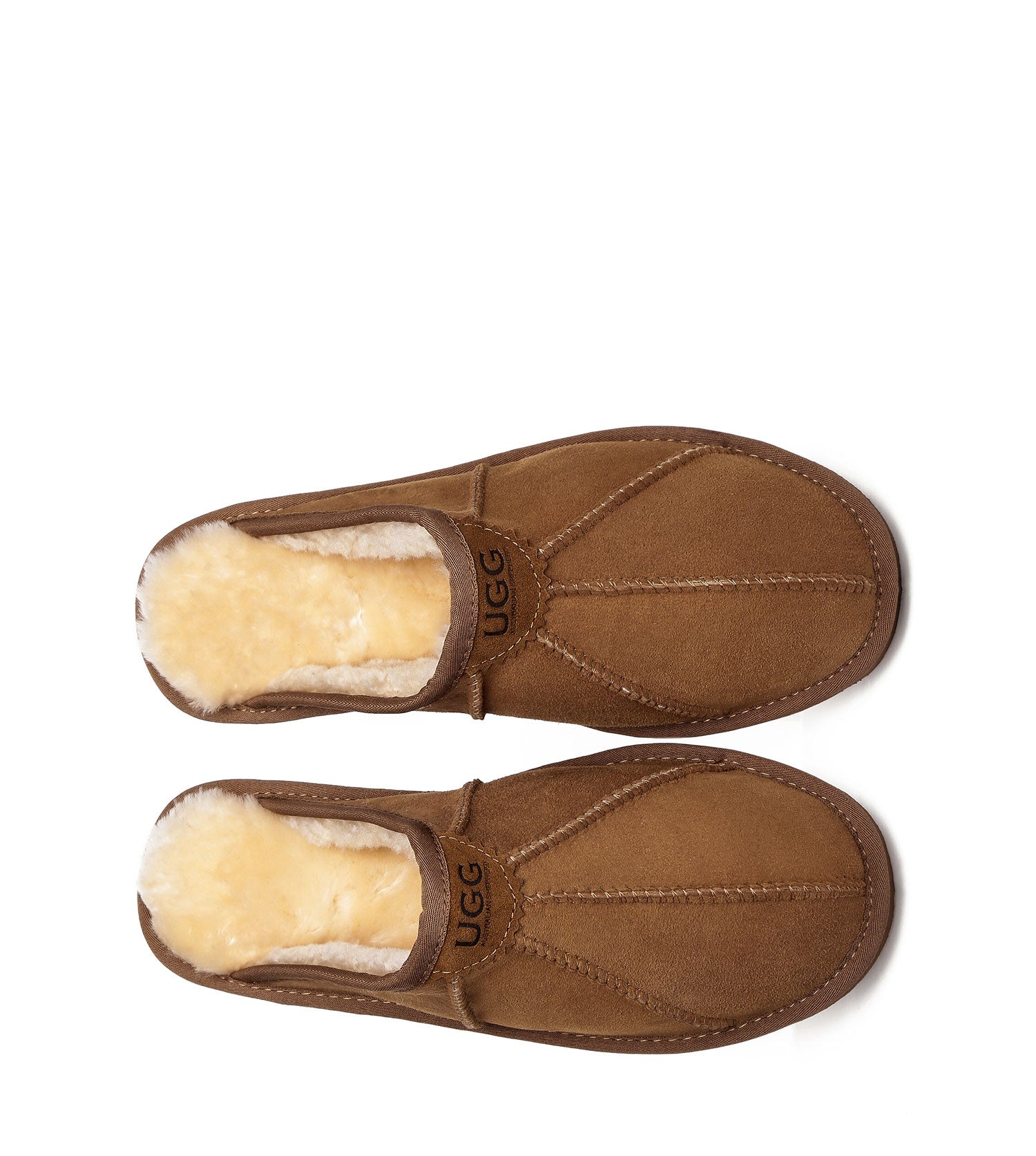 Rafael Slipper