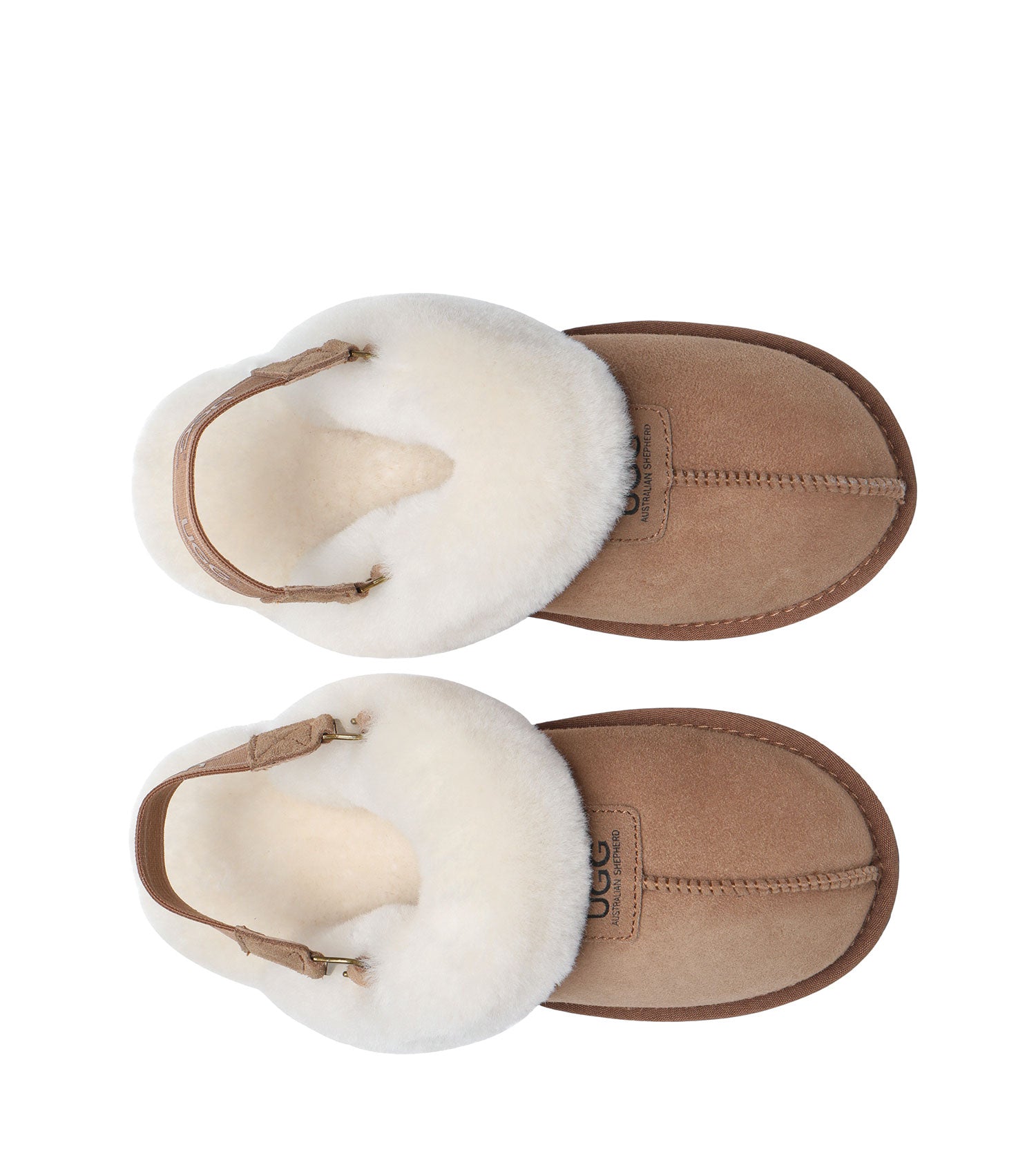 Suzie Band Slipper