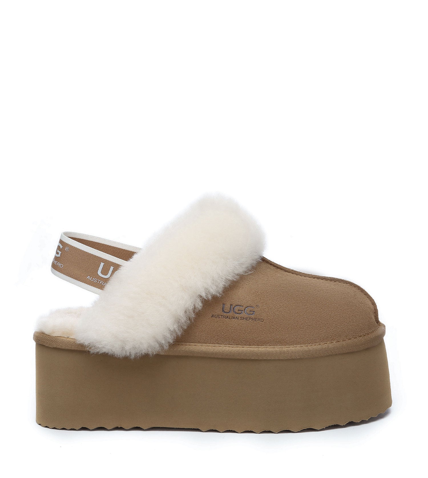 Muffin Plus Platform
