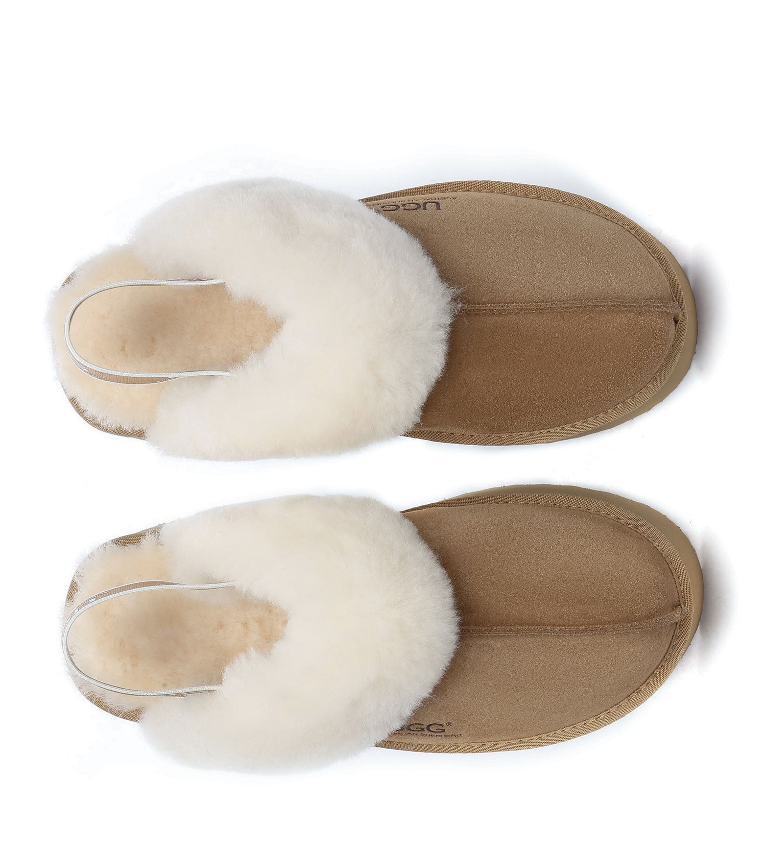 Muffin Plus Platform