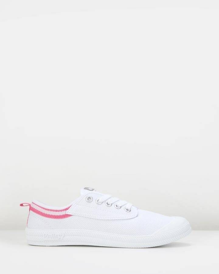 Volley Canvas