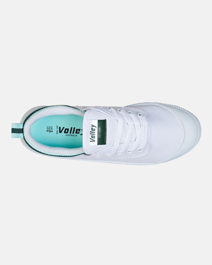 Volley Canvas S