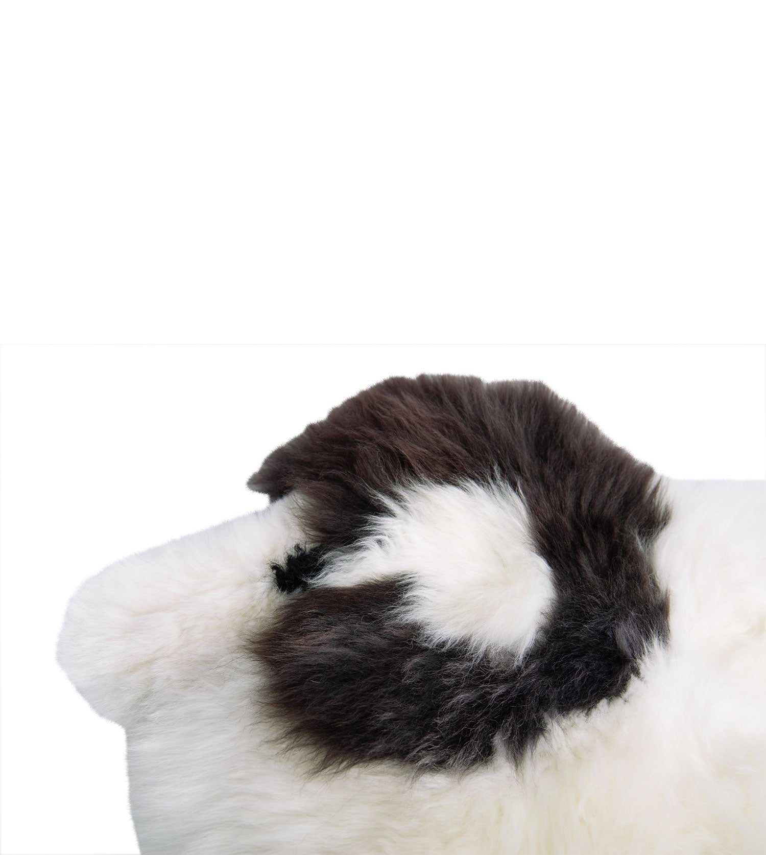 Decoration Sheep-Small