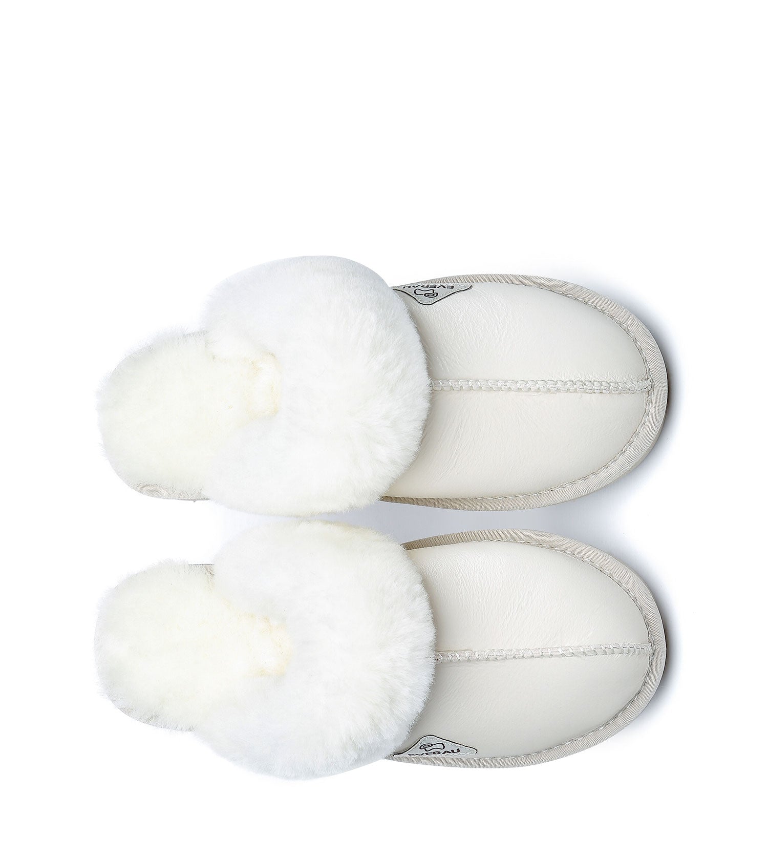 Muffin Slipper Limited Edition