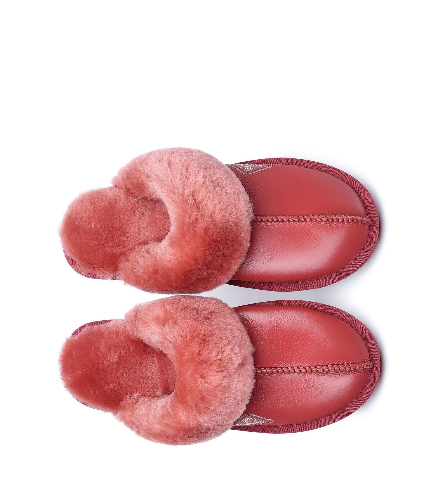 Muffin Slipper Limited Edition