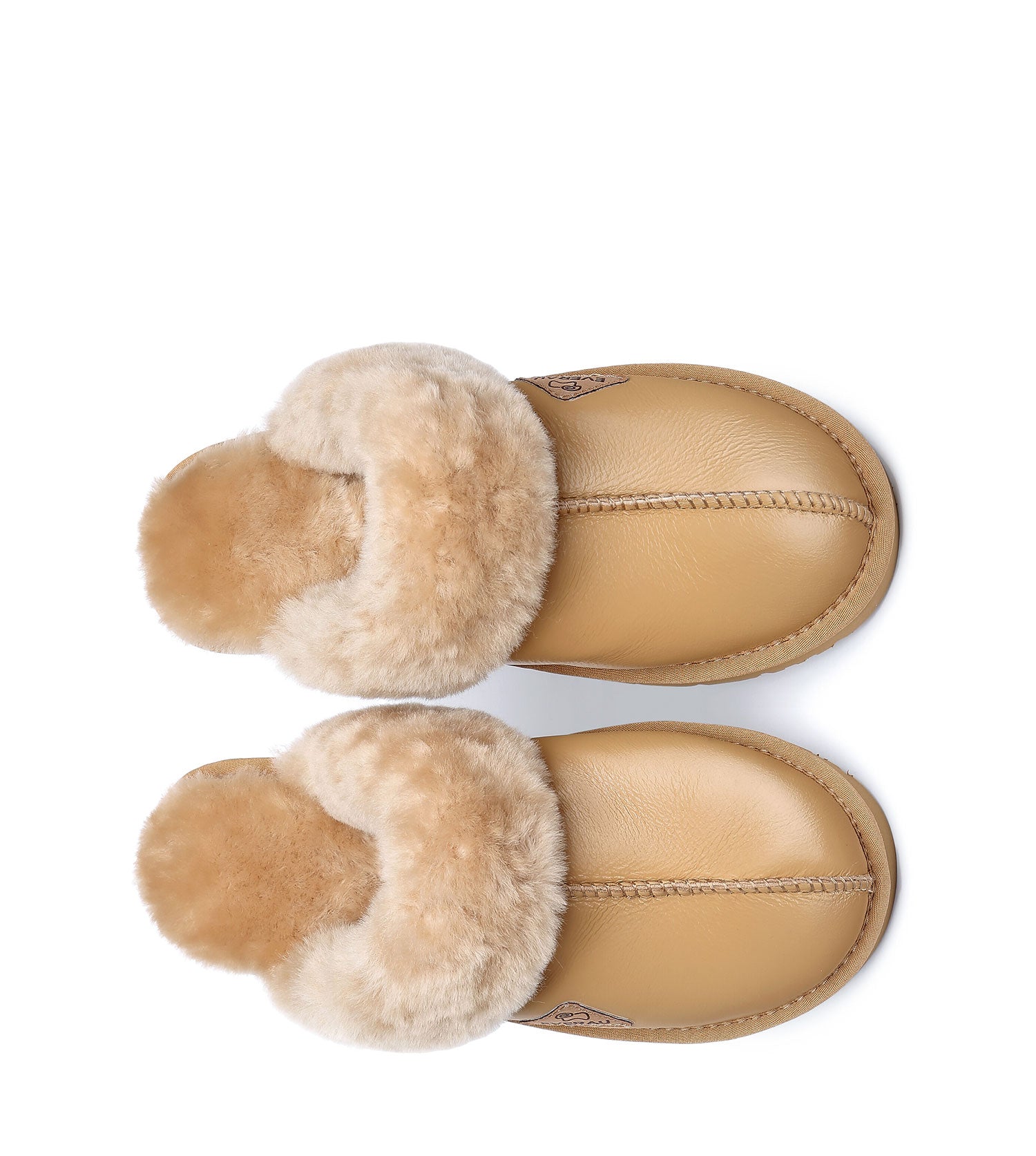 Muffin Slipper Limited Edition