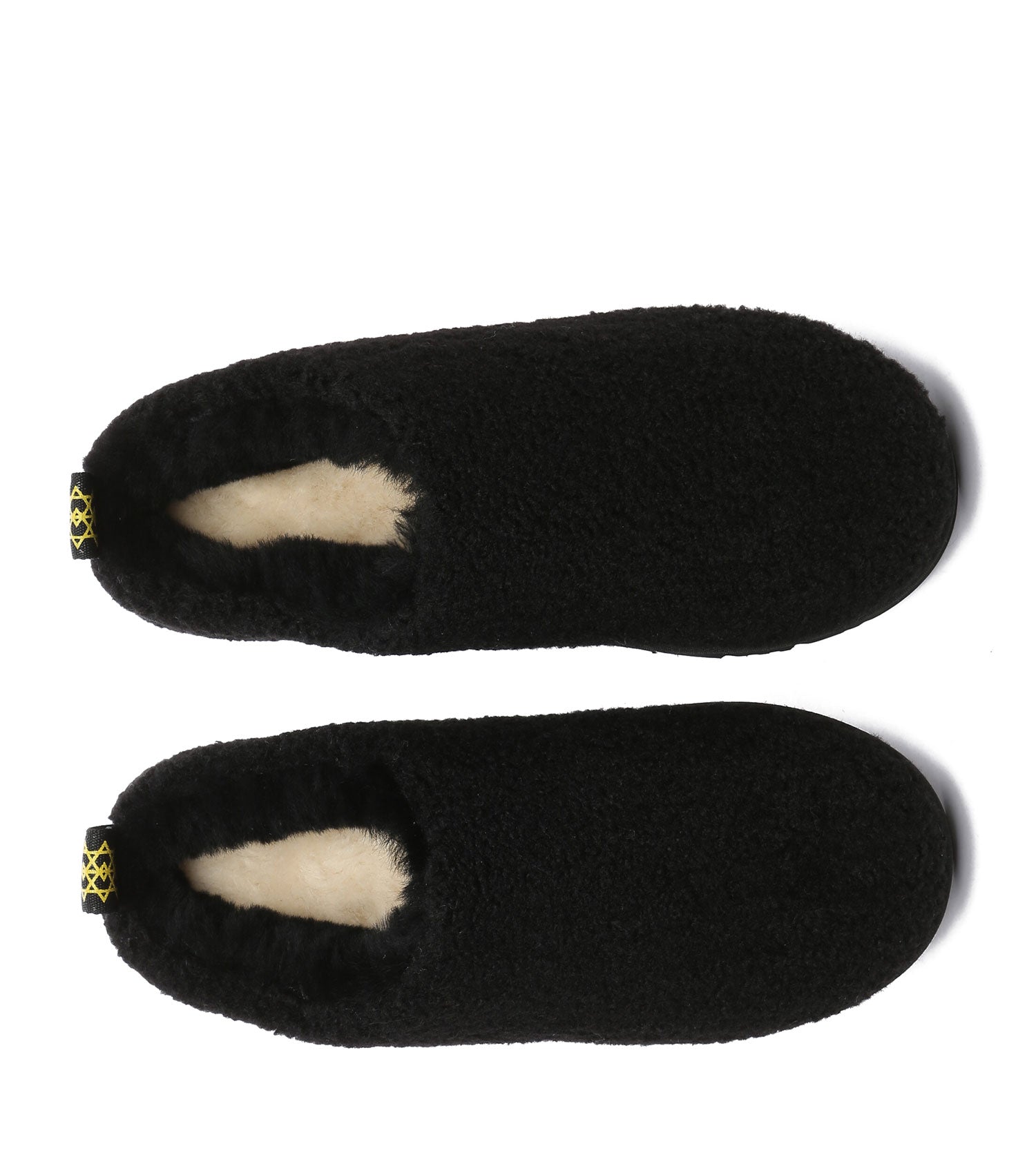 TeddyCozy