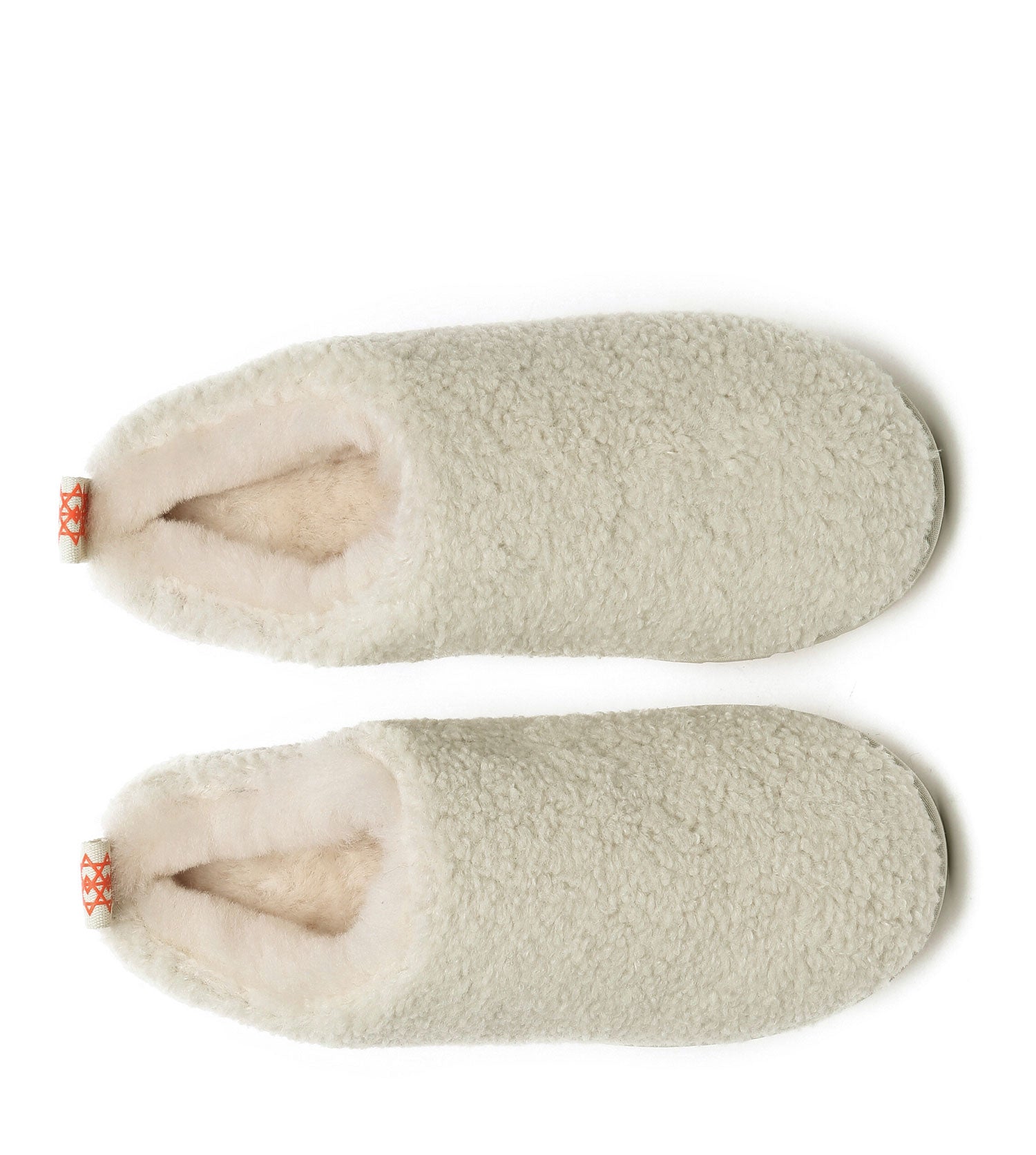 TeddyCozy
