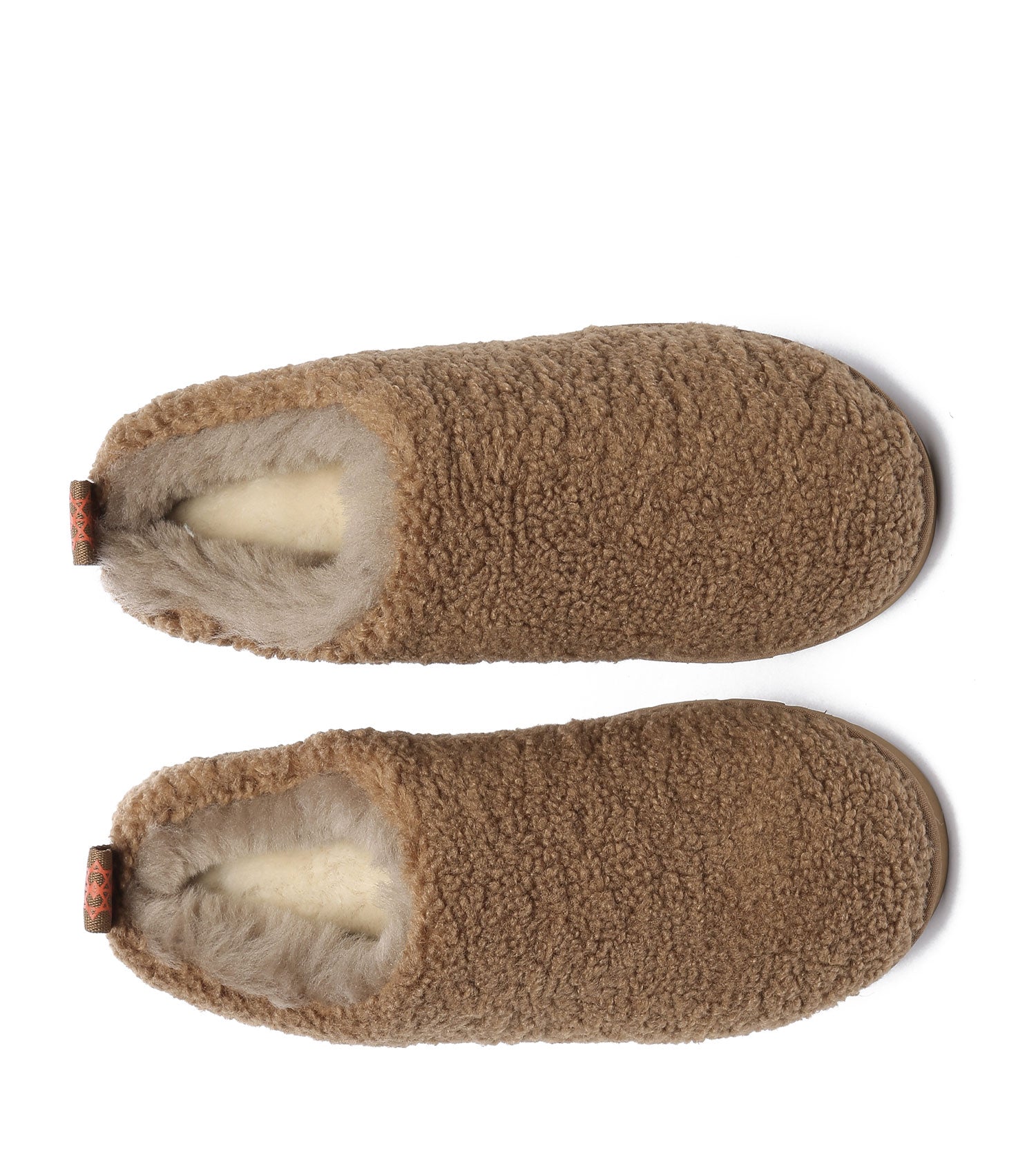 TeddyCozy