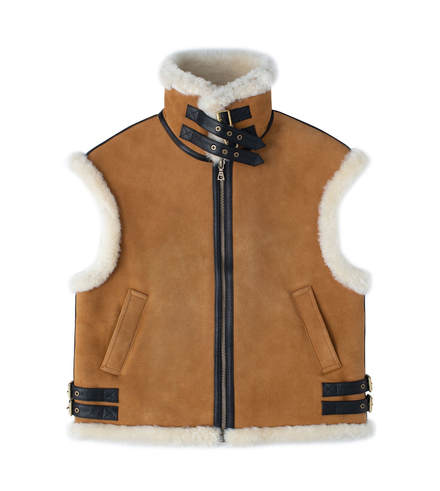 Dale Vest