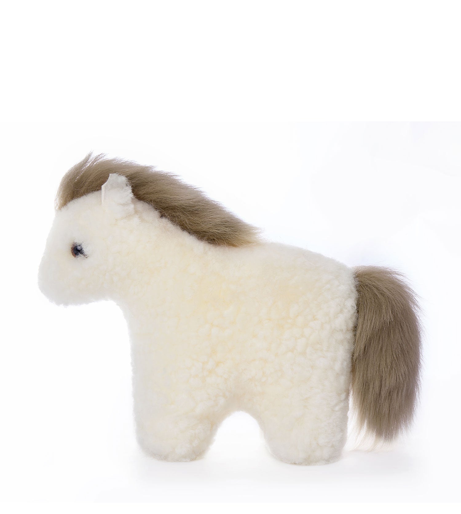Alvara pony