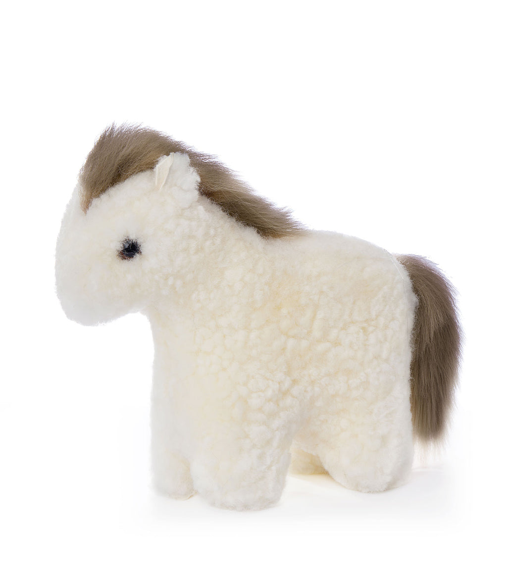 Alvara pony