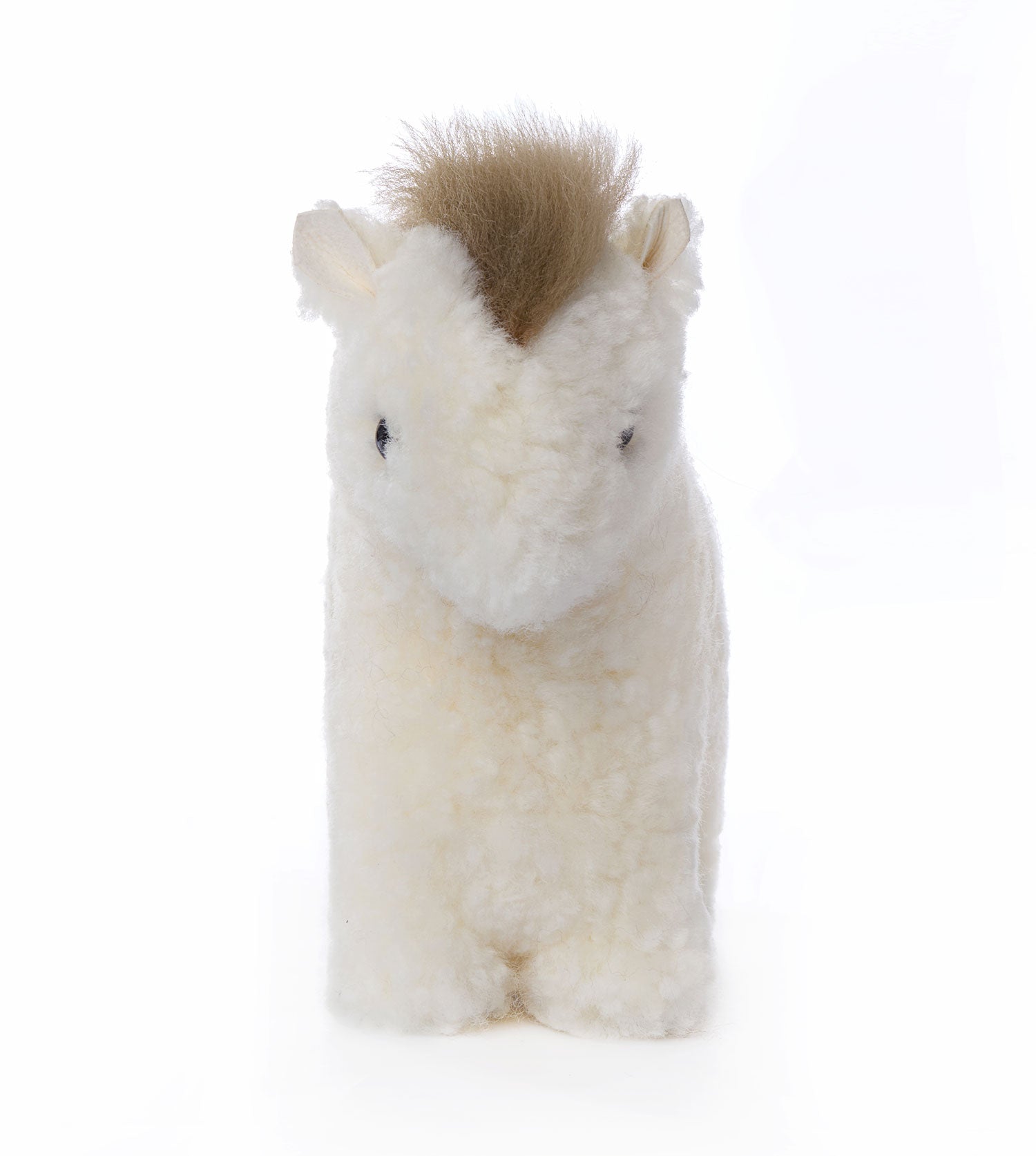 Alvara pony