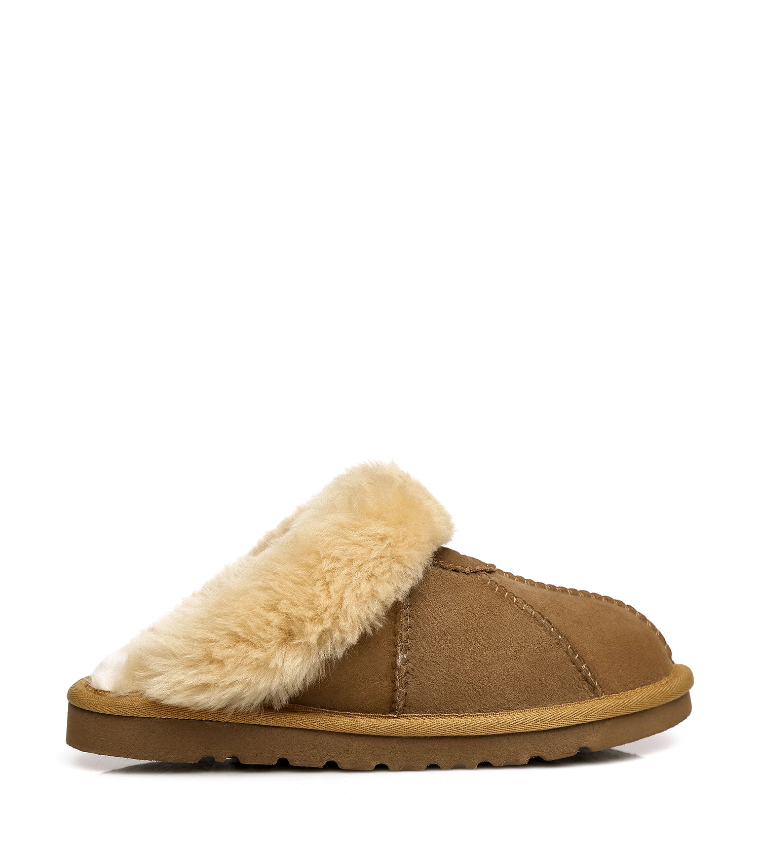TA Robert Slipper
