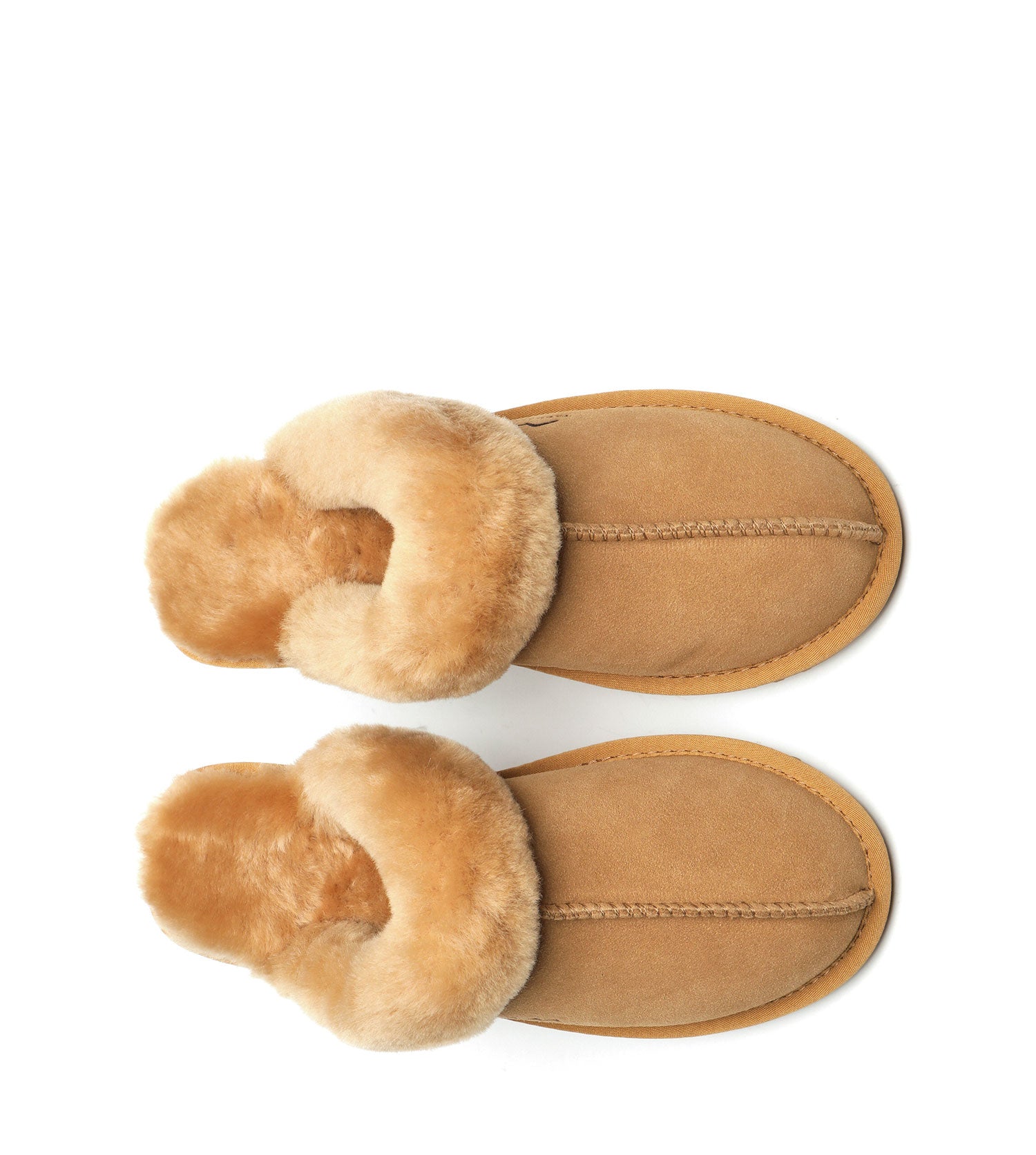 Rena Slipper