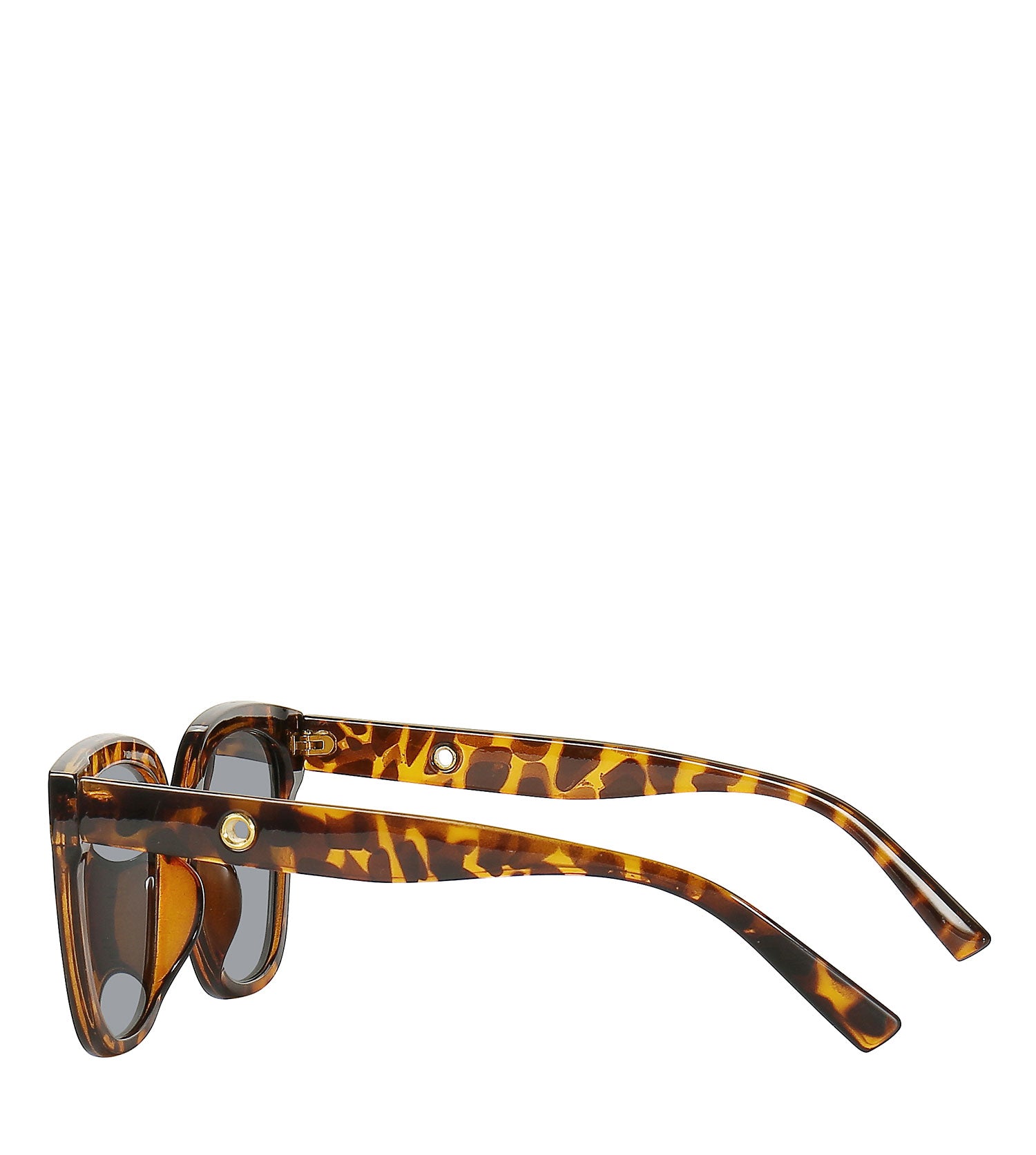 Leopard Sunglasses